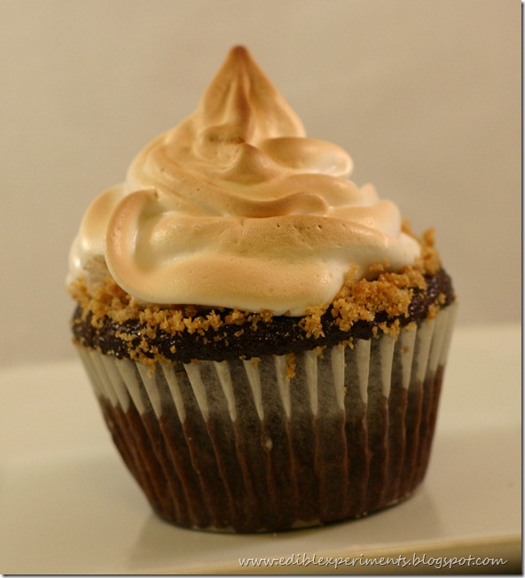 Edible Experiments Chocolate Graham Cracker Cupcakes with Toasted